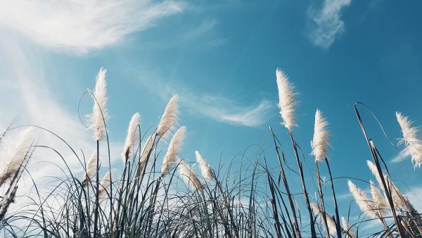 Environnement)等空气