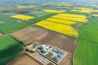 Biogas : renewable energy for future