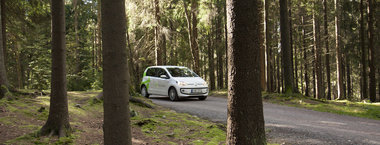car in forest